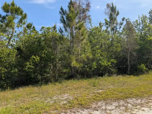 704 ORCHID DR, Indian Lake Estates, FL 33855