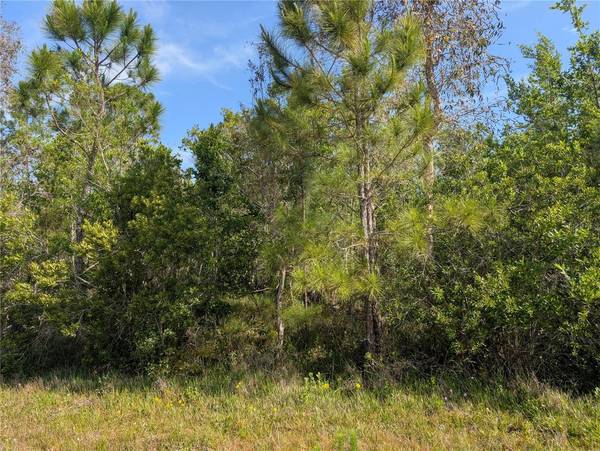 704 ORCHID DR, Indian Lake Estates, FL 33855