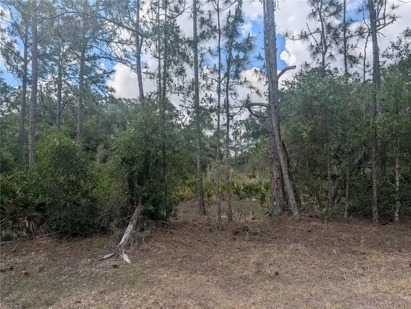 ALLAMANDA DR, Indian Lake Estates, FL 33855