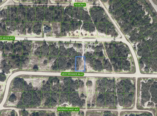 462 JACK WEISSER BLVD, Lake Placid, FL 33852