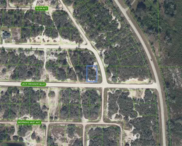 472 JACK WEISSER BLVD, Lake Placid, FL 33852