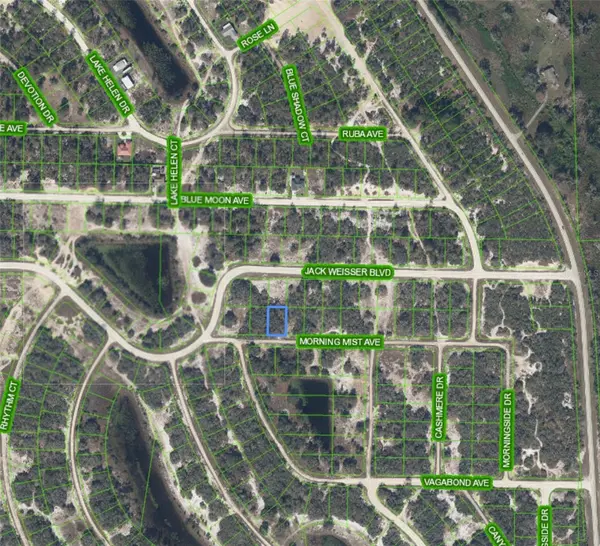 504 MORNING MIST AVE, Lake Placid, FL 33852