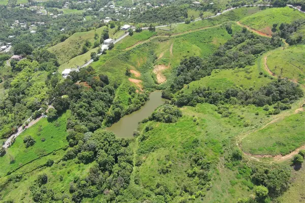 FINCA MORALES BO. BARRAZAS, Carolina, PR 00987