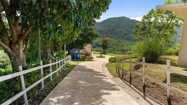 4428 KM 3.1 INT, Lares, PR 00669
