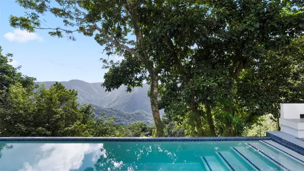km 16.5 PR-15, Cayey, PR 00736