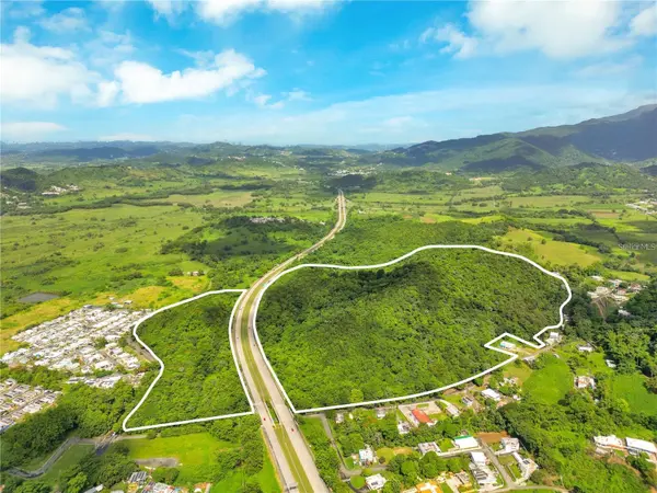 BO MAIZALES CALLE BORGES FINAL, Naguabo, PR 00718