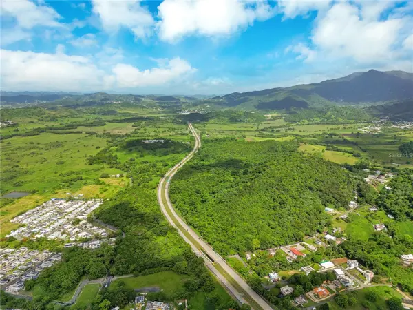 BO MAIZALES CALLE BORGES FINAL, Naguabo, PR 00718