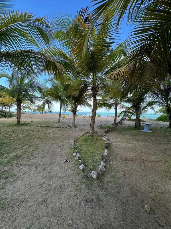 1502 OCEAN POINT #1, Loiza, PR 00772