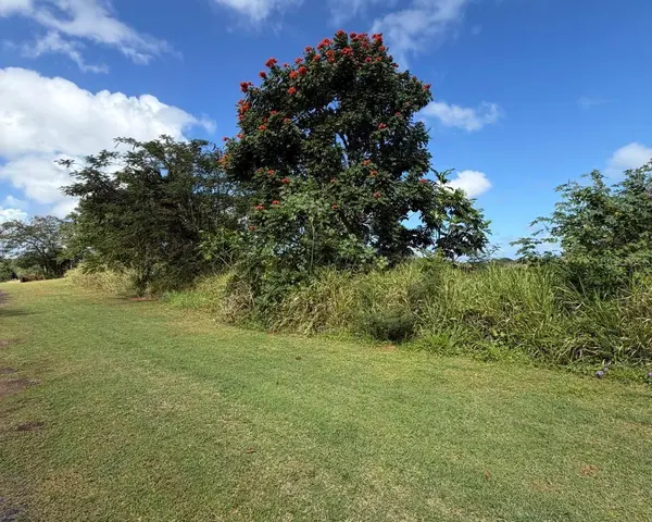 SECTOR MANANTIALES, BO. SABANA HOYOS, Arecibo, PR 00612