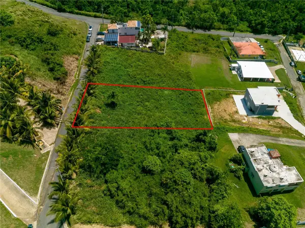 BO Mameyes LINDOMAR II #Lote 24, Rio Grande, PR 00745