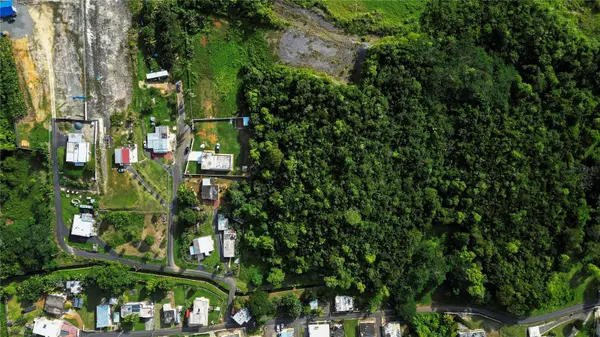 Calle Brillante ARSENALES BAJOS, Isabela, PR 00662