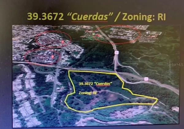 CARR 198 BA. TEJAS, Humacao, PR 00791