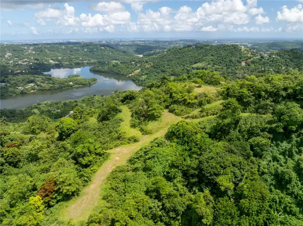 arr 942 JAGUAS, Gurabo, PR 00778