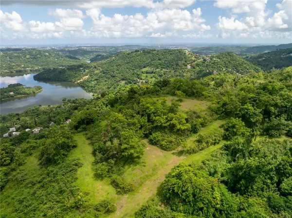 arr 942 JAGUAS, Gurabo, PR 00778