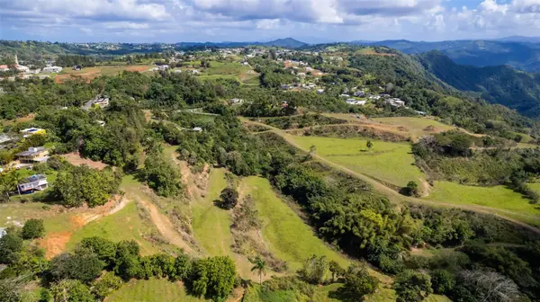 Road 152 CAMINO LAS ORQUIDEAS RD, Barranquitas, PR 00794
