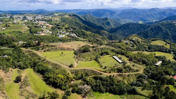 Road 152 CAMINO LAS ORQUIDEAS RD, Barranquitas, PR 00794