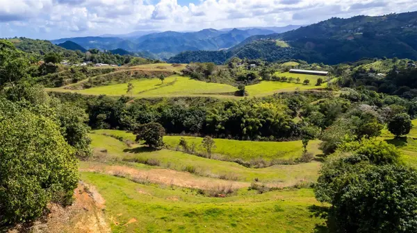 Road 152 CAMINO LAS ORQUIDEAS RD, Barranquitas, PR 00794