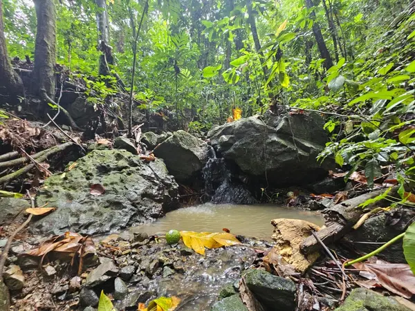 PR 970 MAIZALES WARD, Naguabo, PR 00718