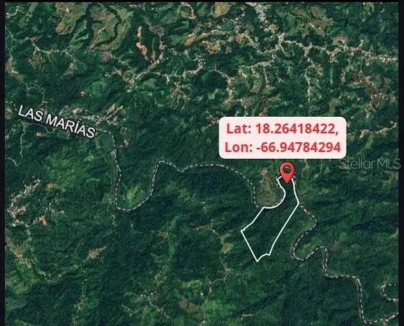 SR 370 KM 3.7 BUENA VISTA WARD, Las Marias, PR 00670