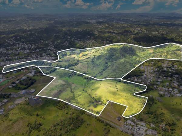 7786 BO BEATRIZ KM 0.5, Cayey, PR 00736
