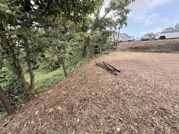 BO PITAHAYA, Luquillo, PR 00773