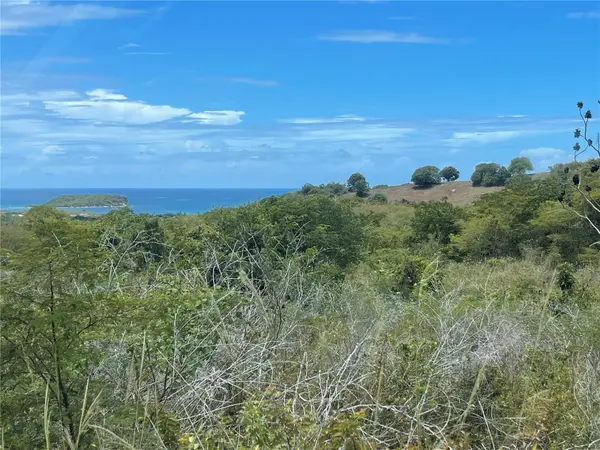 A-1 FINCA VIEQUES, Vieques, PR 00765