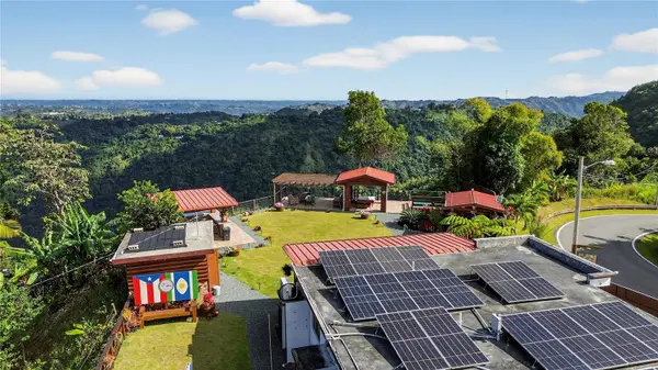 PARCEL A ALTURITAS COLLORES, Orocovis, PR 00720