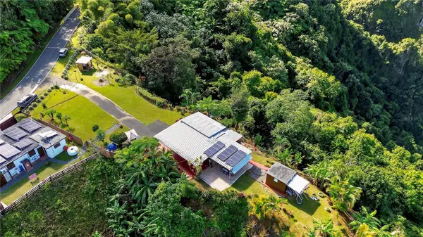 ALTURITAS CACAO PARCEL B, Orocovis, PR 00720