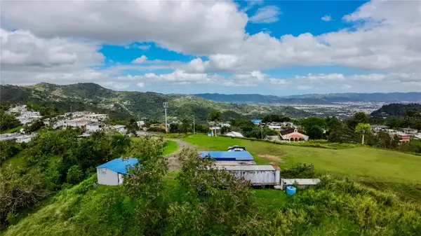 7784 CAÑABONCITO, Caguas, PR 00725