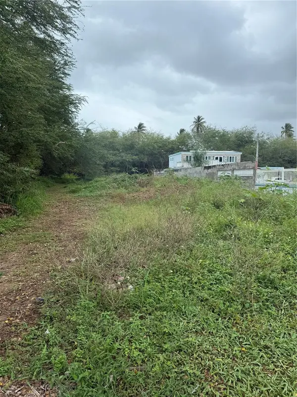 CALLE SANTILLANA, Loiza, PR 00772