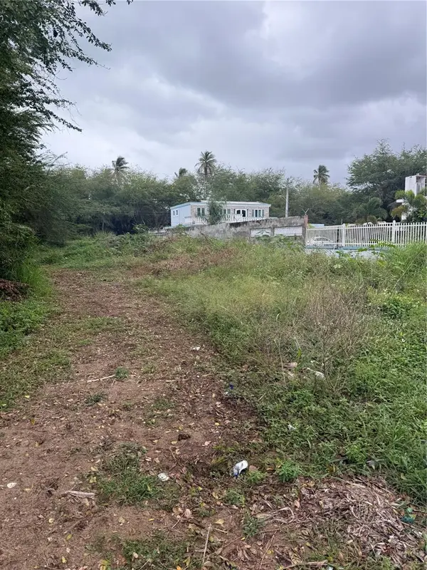 CALLE SANTILLANA, Loiza, PR 00772