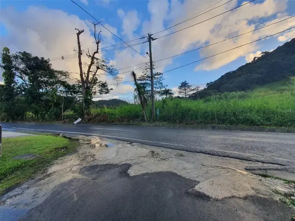 CARR 191, Naguabo, PR 00718