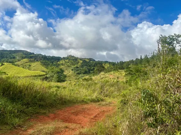 CARR 252 KM.HM 22.2, Orocovis, PR 00720