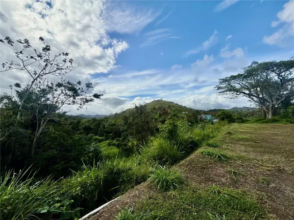 BO RINCÓN LOMAS, Cayey, PR 00736
