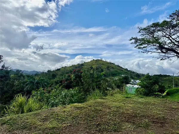 BO RINCÓN LOMAS, Cayey, PR 00736
