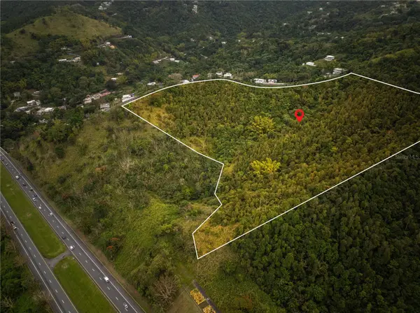 KM.HM 59 3 CARR 1, BO QUEBRADA ARRIBA, Cayey, PR 00736