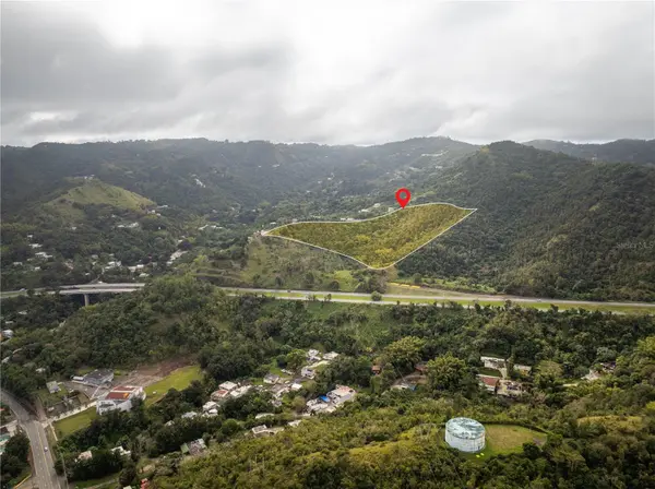 KM.HM 59 3 CARR 1, BO QUEBRADA ARRIBA, Cayey, PR 00736