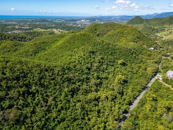 BO TIJERAS, Juana Diaz, PR 00795