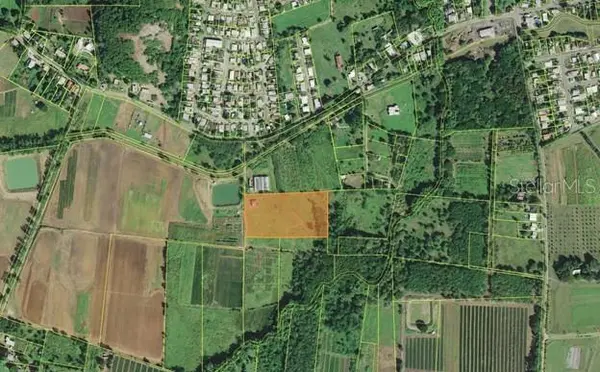 PR-306 K0 H7 PALMAREJO WARD, Lajas, PR 00667