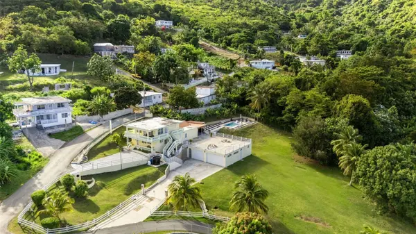 Carr 3 CAMINO COOPERATIVO, Patillas, PR 00723