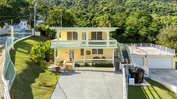 Carr 3 CAMINO COOPERATIVO, Patillas, PR 00723