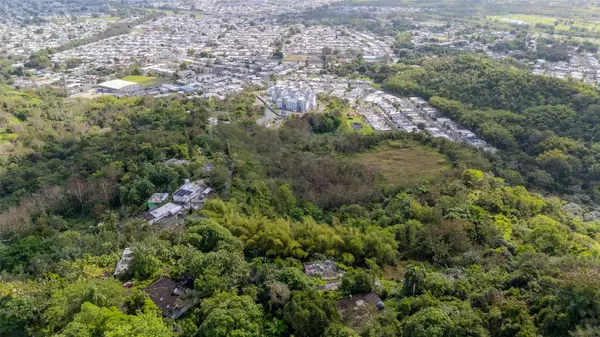 PR 7784 Km 1.0 TURABO, Caguas, PR 00725