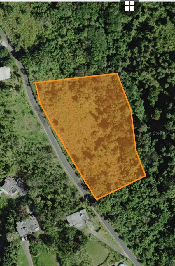 CARR. 723,2.3 INT., Aibonito, PR 00705