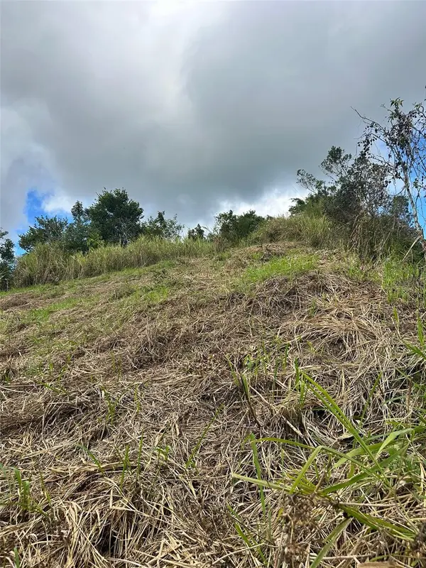 CARR. 723,2.3 INT., Aibonito, PR 00705