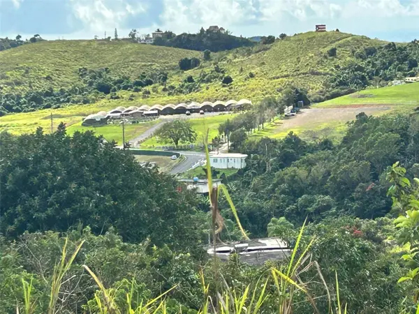 CARR. 723,2.3 INT., Aibonito, PR 00705
