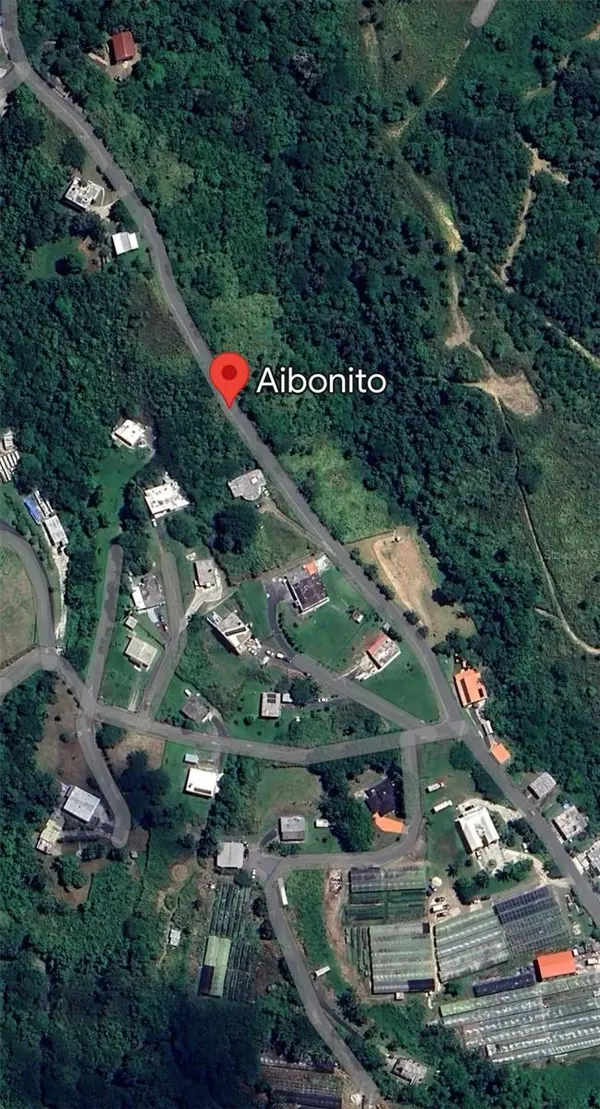 CARR. 723,2.3 INT., Aibonito, PR 00705