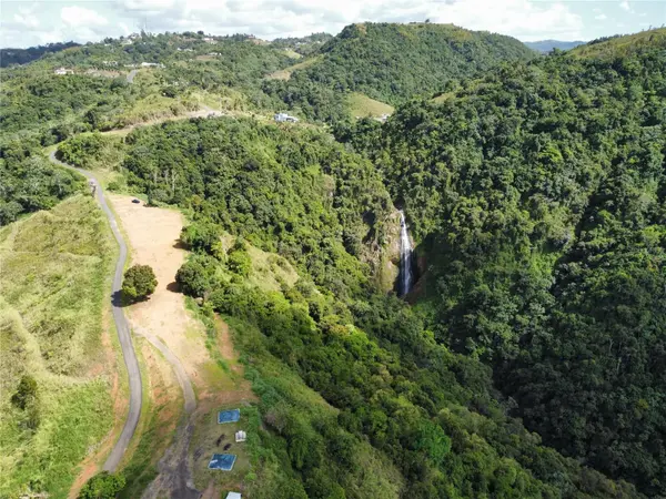 PR-155 KM 34.0 BARRIO PERCHAS, Morovis, PR 00687