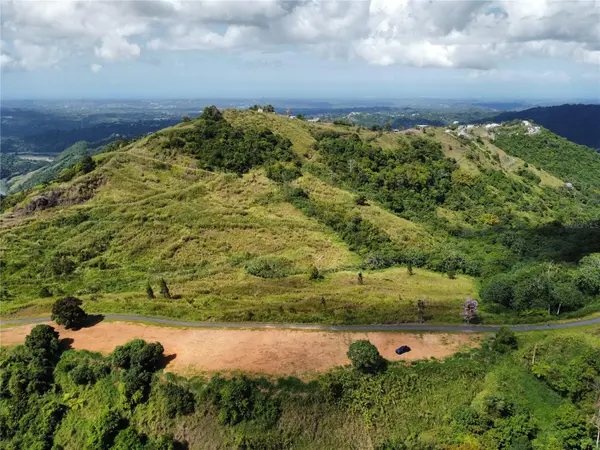 PR-155 KM 34.0 BARRIO PERCHAS, Morovis, PR 00687