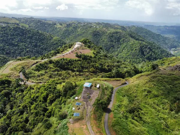 PR-155 KM 34.0 BARRIO PERCHAS, Morovis, PR 00687