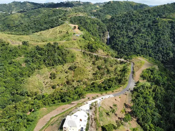 PR-155 KM 34.0 BARRIO PERCHAS, Morovis, PR 00687